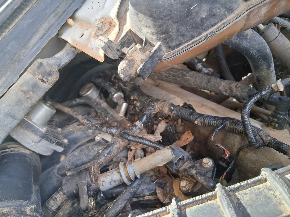 2007 Ford Super Duty 1st Gen - Image 16 of 17