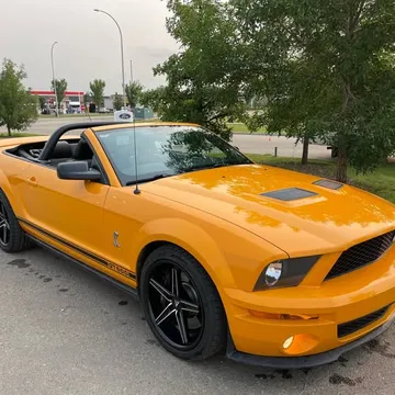2007 Ford Mustang Shelby GT500
