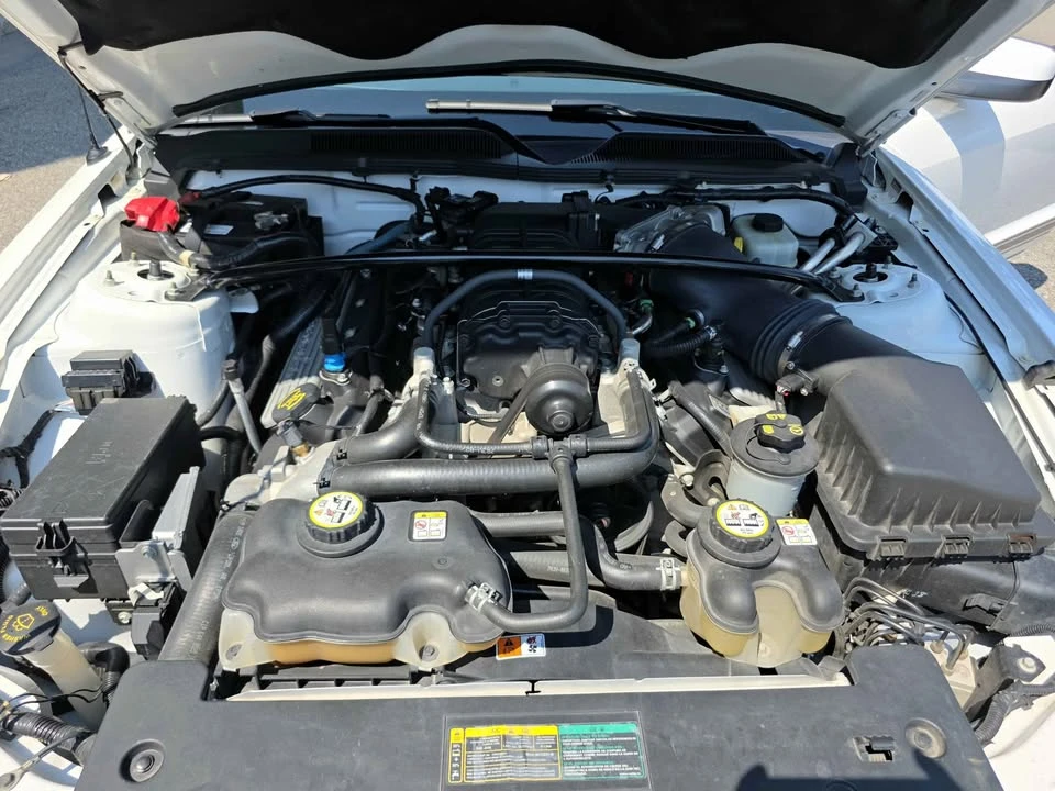 2007 Ford S197 Mustang - Image 14 of 17