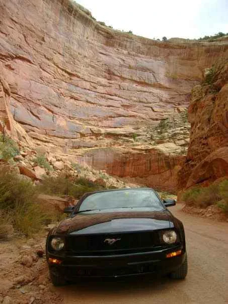 2007 Ford S197 Mustang - Image 3 of 8