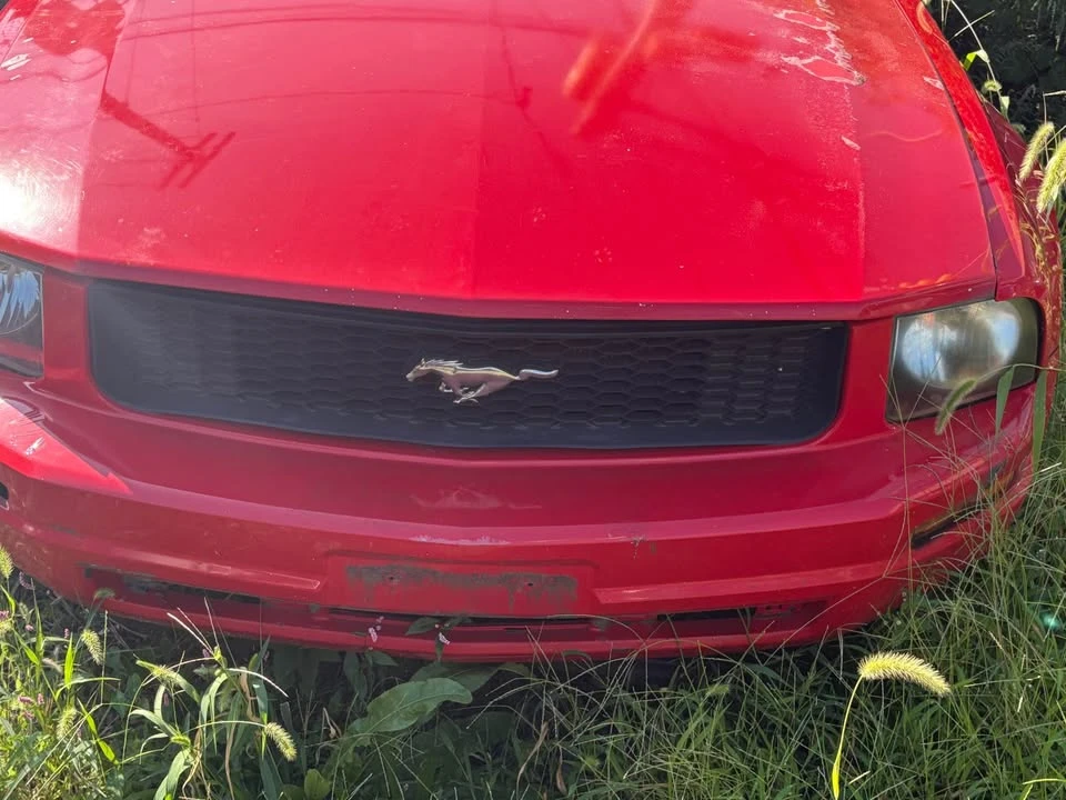 2007 Ford S197 Mustang - Image 3 of 4