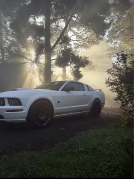 2007 Ford Mustang GT