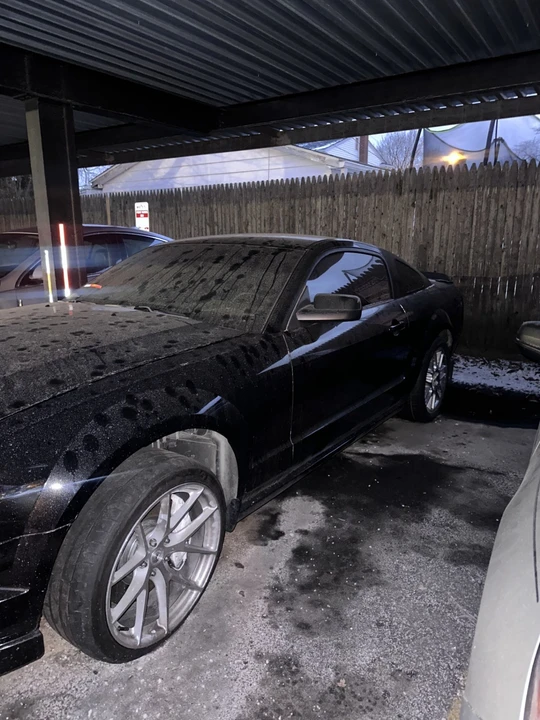 2007 Ford S197 Mustang - Image 5 of 13
