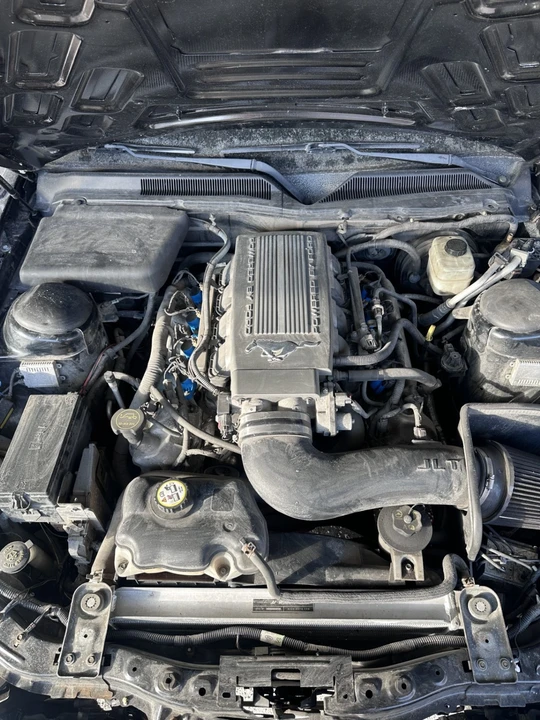 2007 Ford S197 Mustang - Image 9 of 13