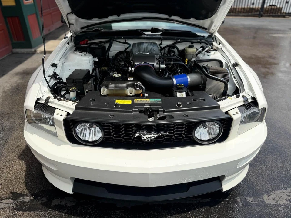 2007 Ford S197 Mustang - Image 30 of 31