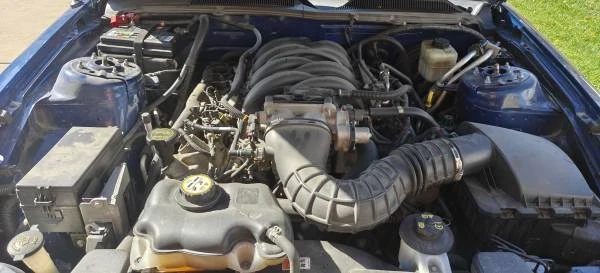 2007 Ford S197 Mustang - Image 14 of 14