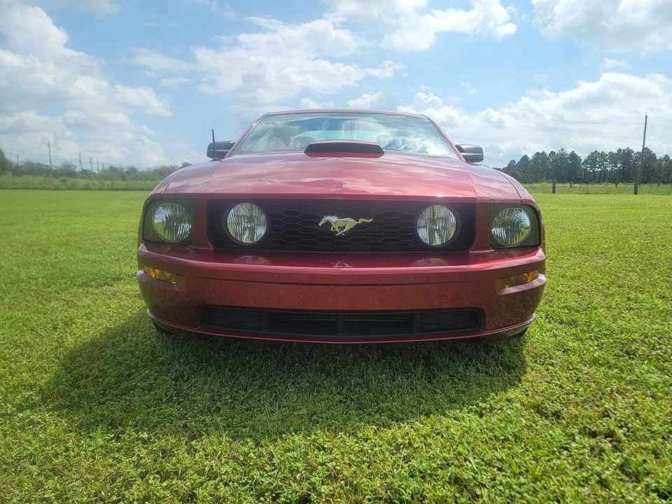 2007 Ford S197 Mustang GT - Image 15 of 31