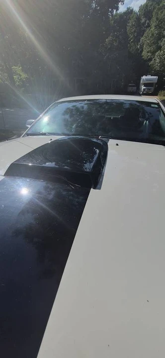 2007 Ford S197 Mustang - Image 8 of 13