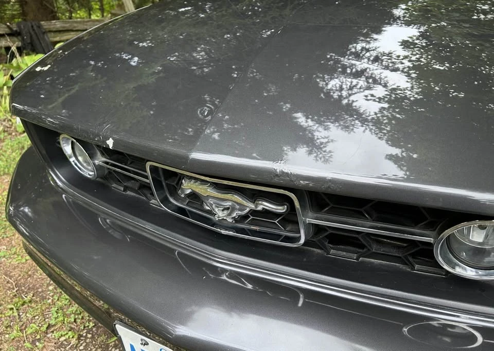 2007 Ford S197 Mustang - Image 8 of 9