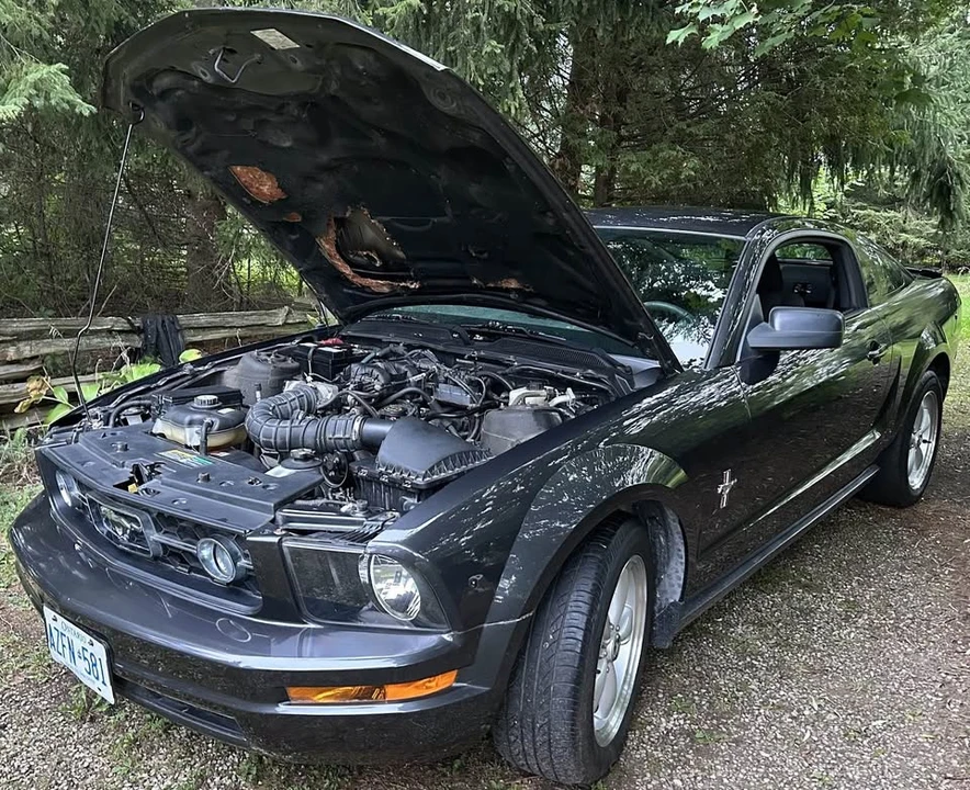 2007 Ford S197 Mustang - Image 9 of 9