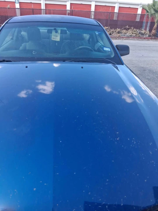 2007 Ford S197 Mustang - Image 3 of 8