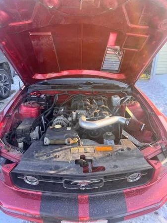 2007 Ford S197 Mustang - Image 11 of 19