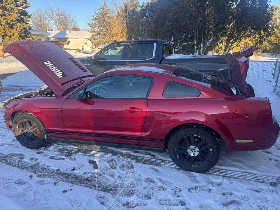 2007 Ford S197 Mustang - Image 18 of 19