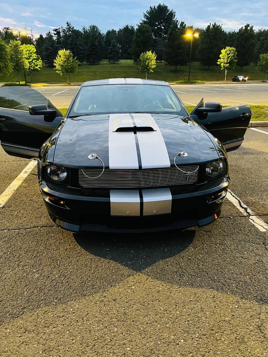 2007 Ford S197 I Shelby Mustang CS6/8 & GT & GT-H & Terlingua - Image 24 of 31