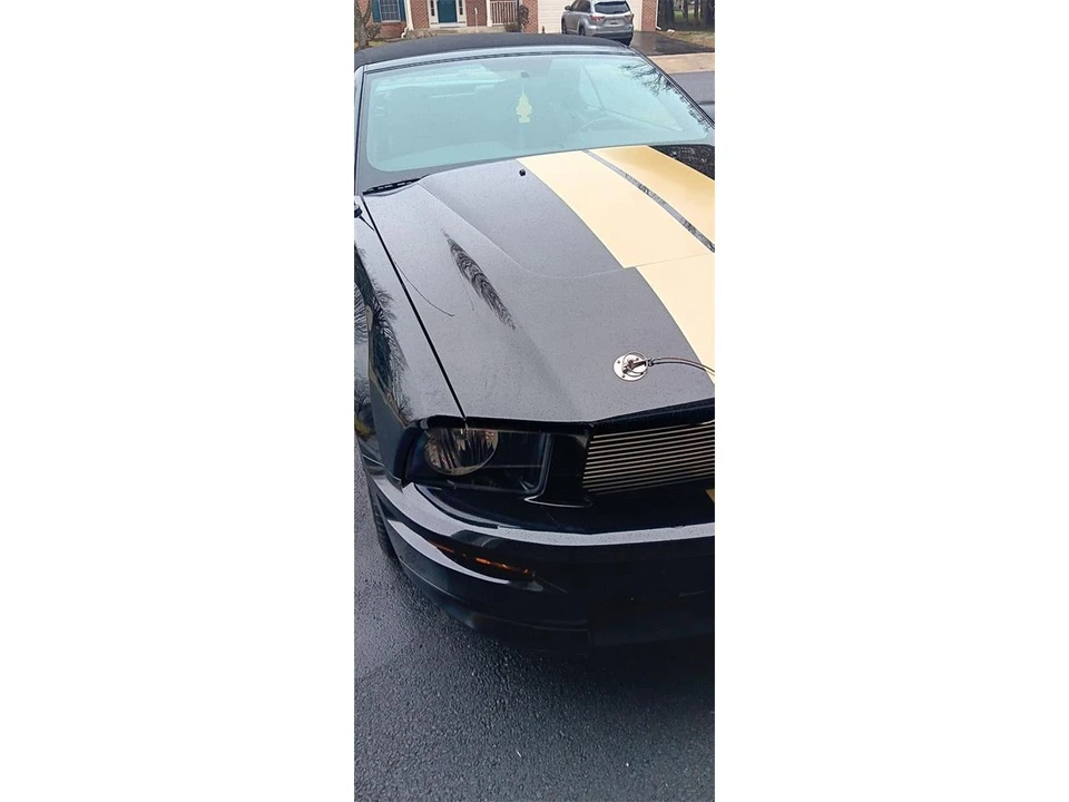 2007 Ford S197 Mustang - Image 14 of 30