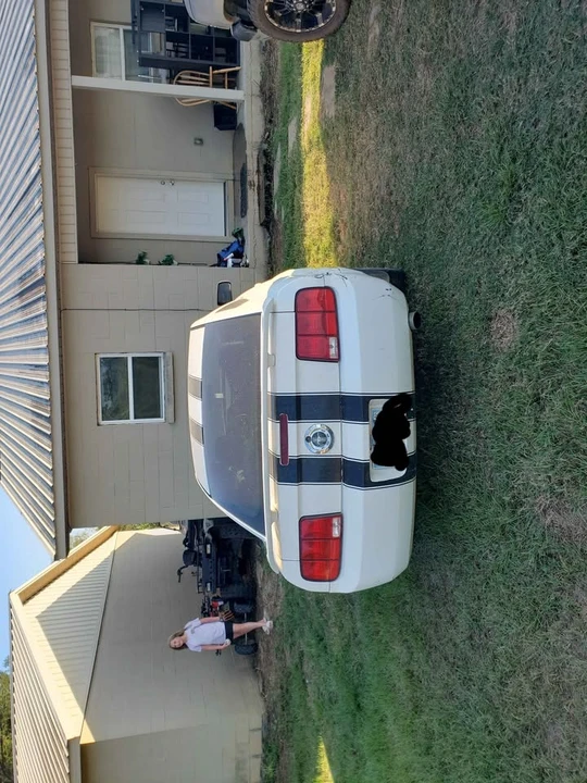 2007 Ford S197 Mustang - Image 7 of 7