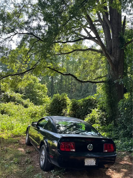2007 Ford S197 Mustang - Image 5 of 7