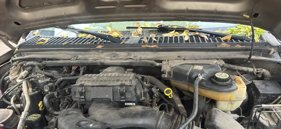 2007 Ford Super Duty 1st Gen - Image 10 of 11