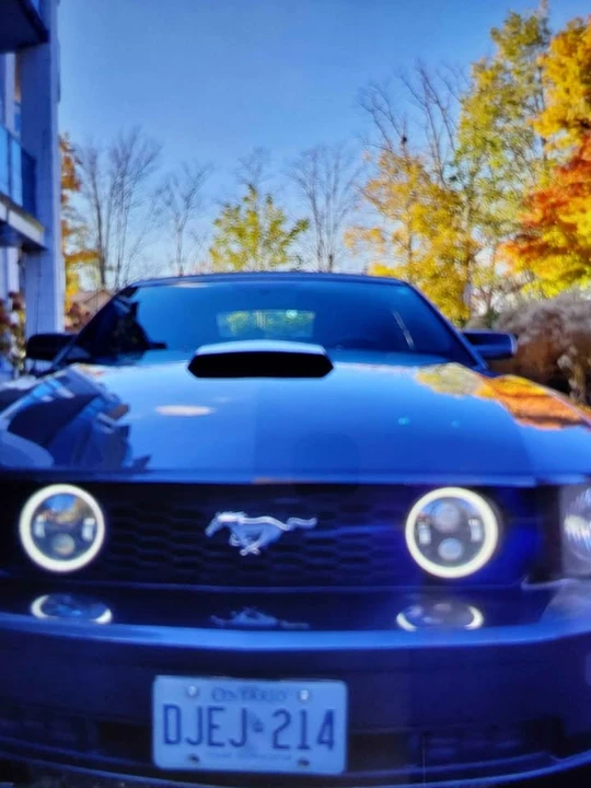 2007 Ford GT - Image 7 of 8
