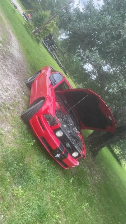 2007 Ford S197 Mustang - Image 5 of 7