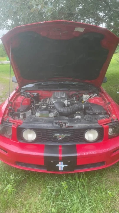 2007 Ford S197 Mustang - Image 4 of 7
