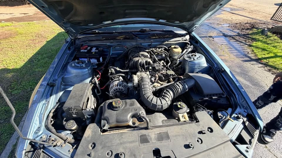 2007 Ford S197 Mustang - Image 11 of 12