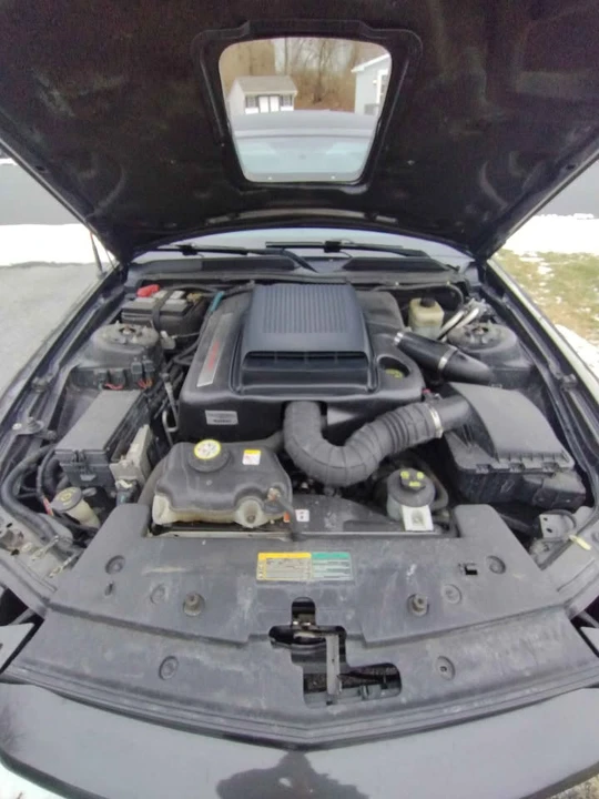 2007 Ford S197 Mustang - Image 5 of 7