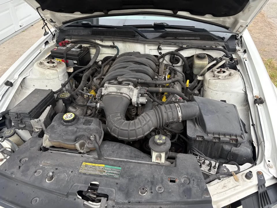 2007 Ford S197 Mustang - Image 11 of 11
