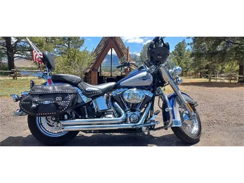 2007 Harley-Davidson FLSTSC Softail Springer Classic