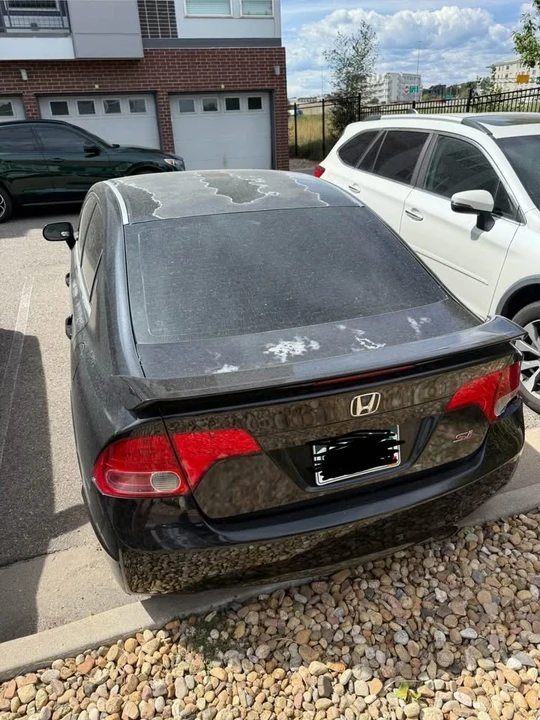 2007 Honda Civic Si 8th Gen - Image 7 of 7
