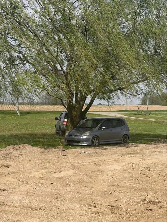 2007 Honda Fit - Image 5 of 6