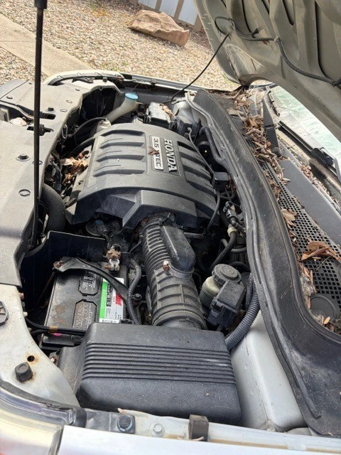 2007 Honda Pilot 1st Gen - Image 9 of 9