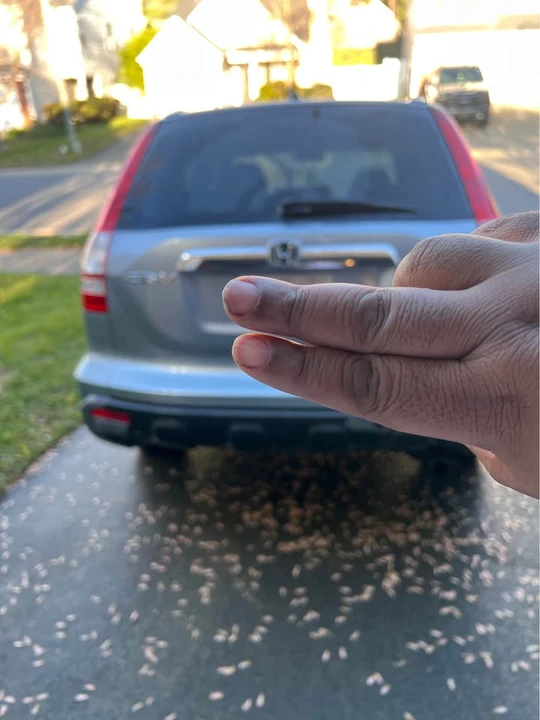 2007 Honda CR-V 3rd Gen - Image 3 of 7