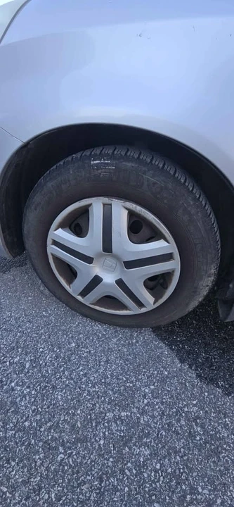 2007 Honda Fit - Image 10 of 10