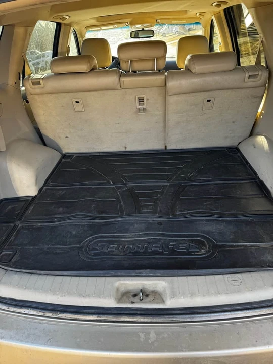 2007 Hyundai Santa Fe - Image 11 of 12
