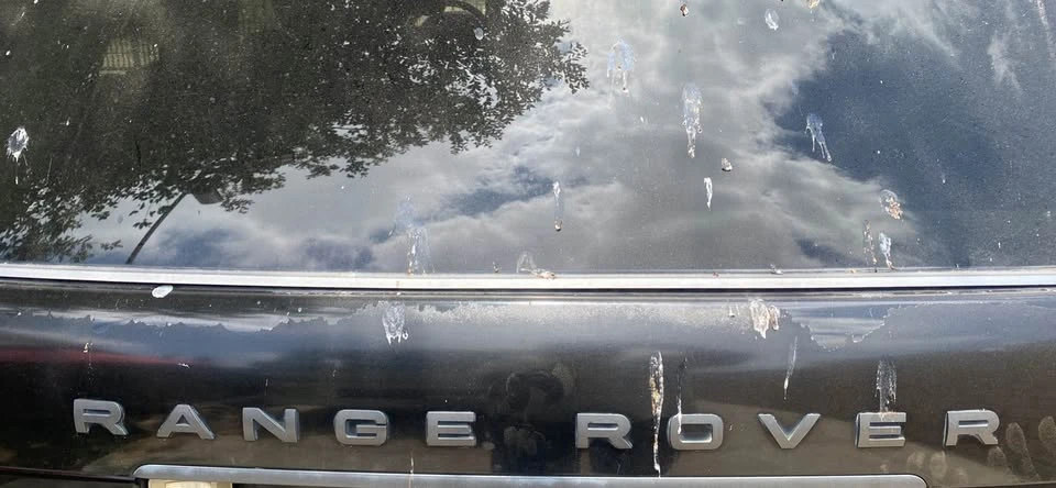 2007 Land Rover Range Rover L322 - Image 5 of 11