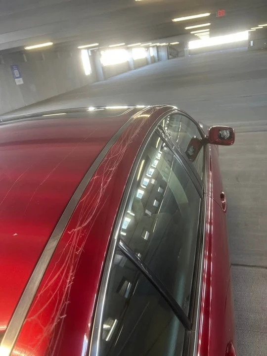 2007 Lexus GS 3rd Gen - Image 11 of 11