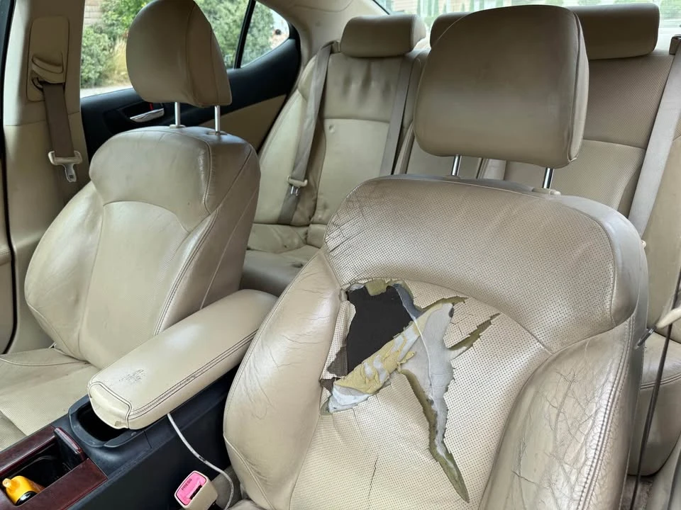 2007 Lexus IS 2nd Gen - Image 6 of 6