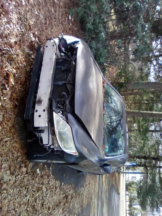 2007 Lexus LS 4th Gen - Image 4 of 6