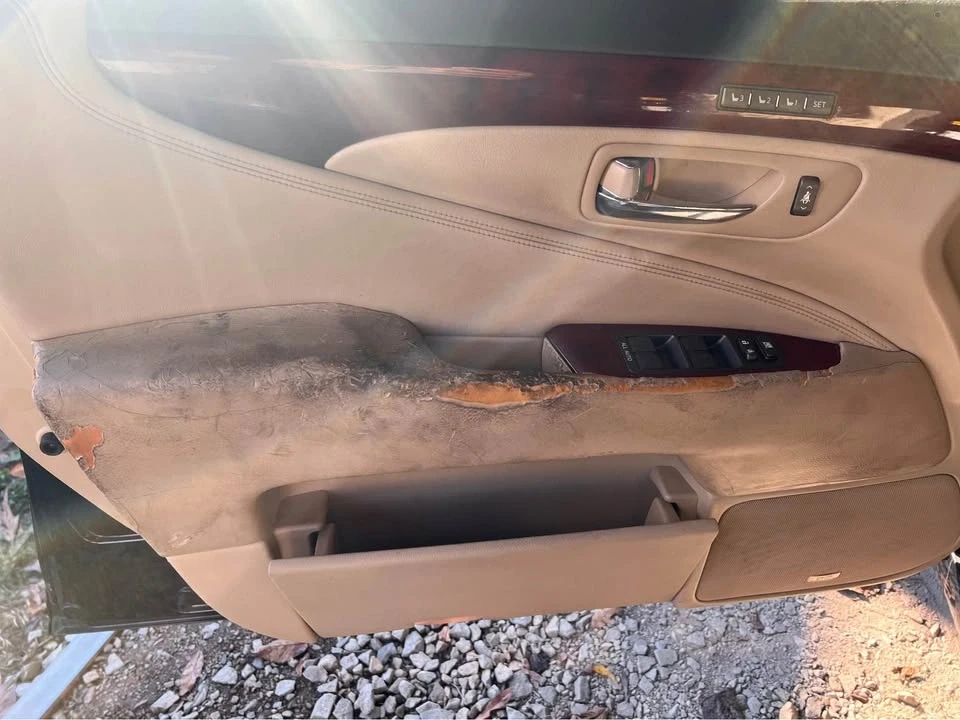 2007 Lexus LS 4th Gen - Image 5 of 10