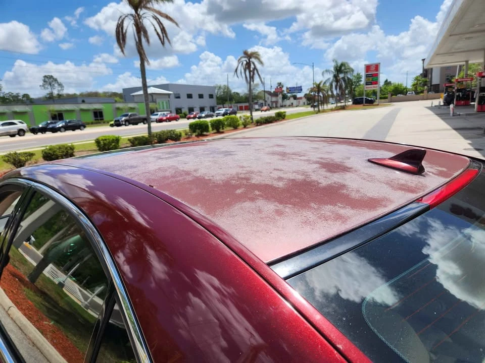 2007 Lexus LS 4th Gen - Image 12 of 13