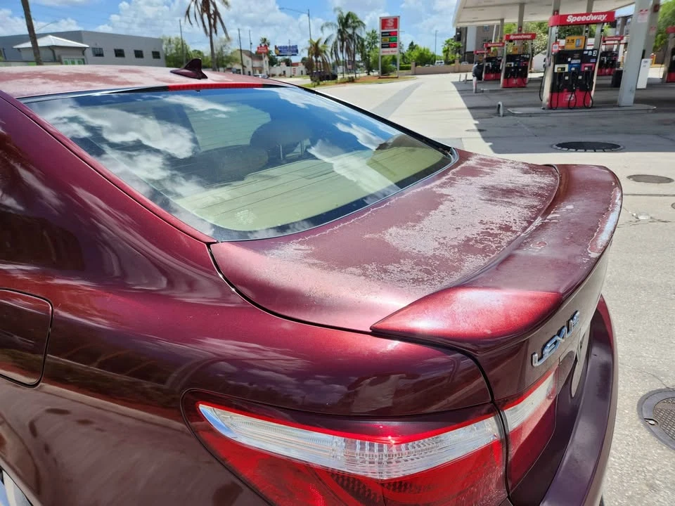 2007 Lexus LS 4th Gen - Image 13 of 13