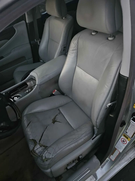 2007 Lexus LS 4th Gen - Image 10 of 11