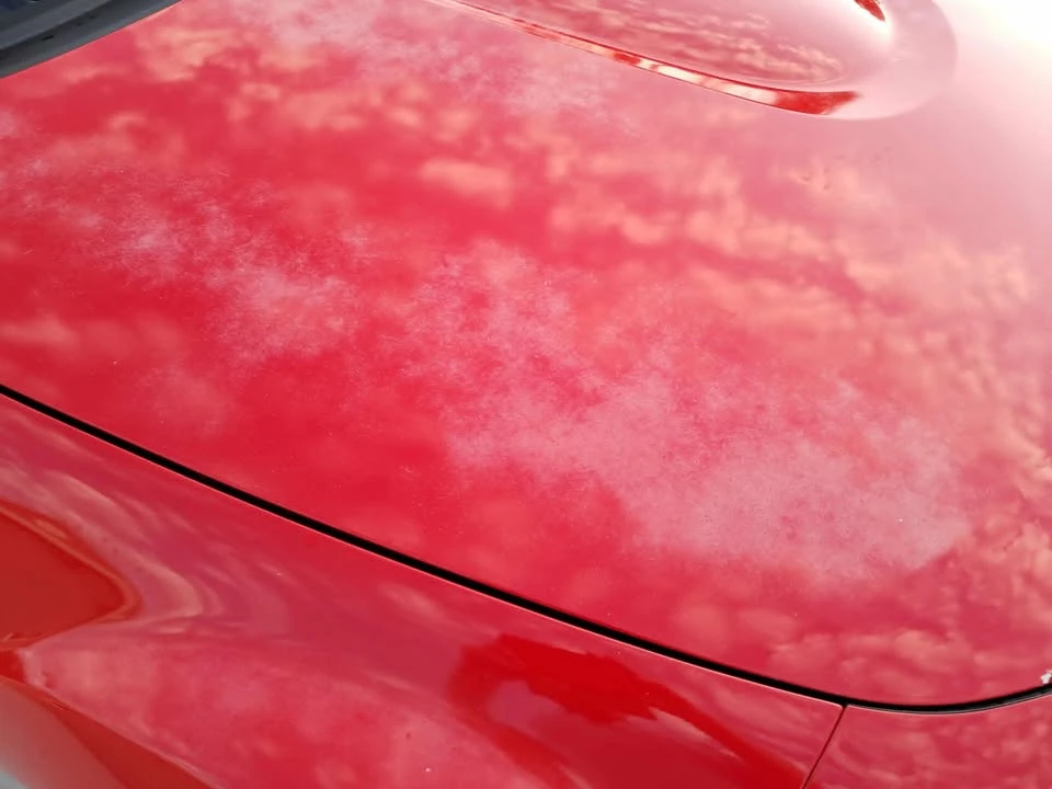 2007 Mazda NC MX-5 Miata - Image 13 of 20