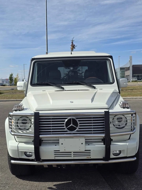 2007 Mercedes-Benz W463 G-Class - Image 2 of 10
