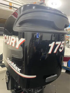 2007 Mercury Optimax 175 XL