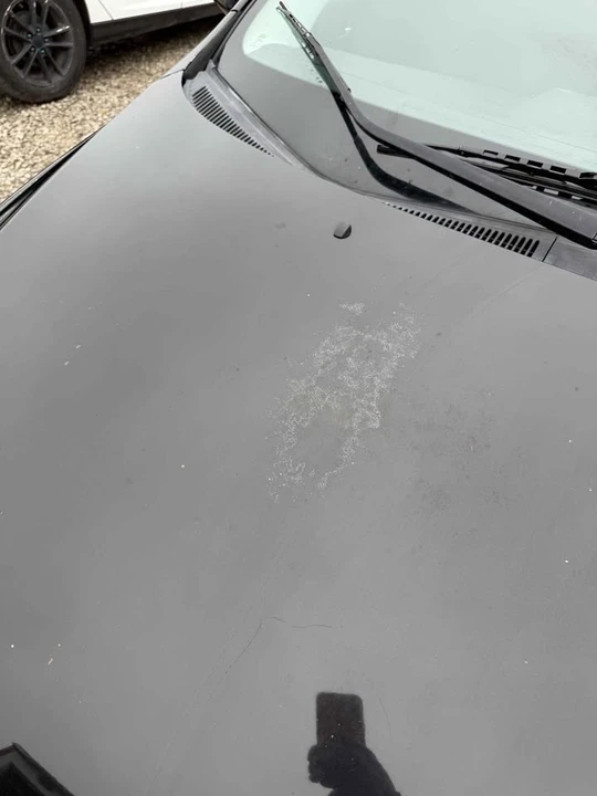 2007 Scion tC - Image 14 of 15