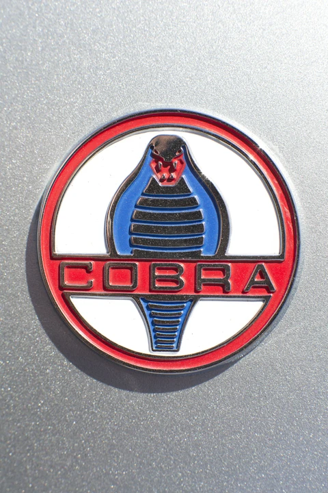 2007 Shelby CSX Cobra Continuation - Image 4 of 21