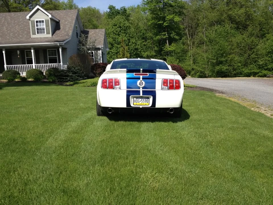 2007 Shelby GT500 - Image 3 of 6