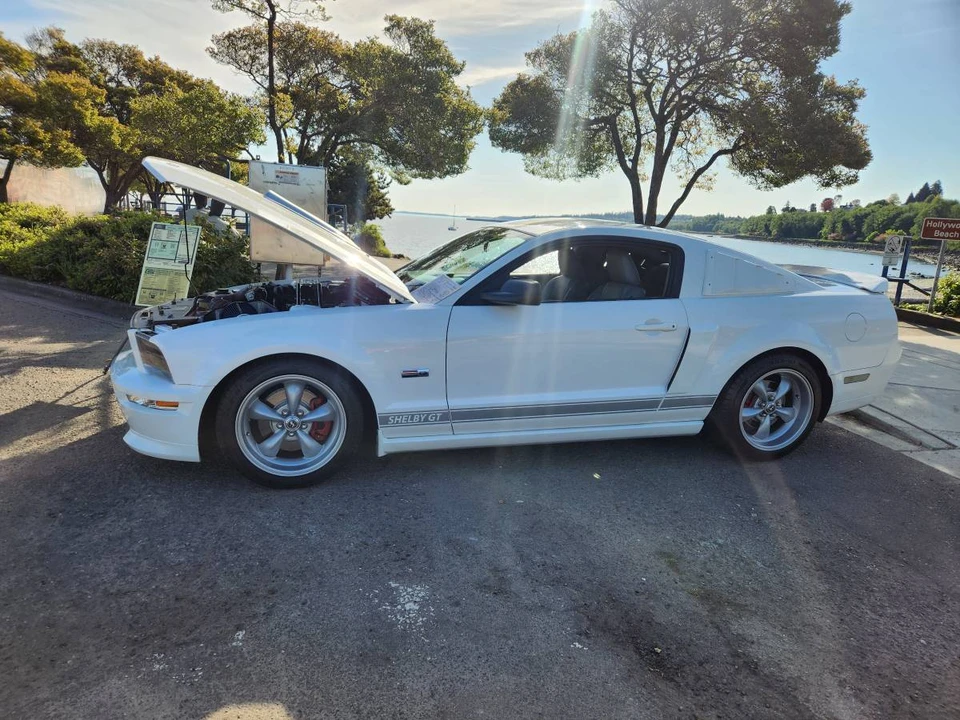 2007 Shelby GT350 - Image 10 of 11